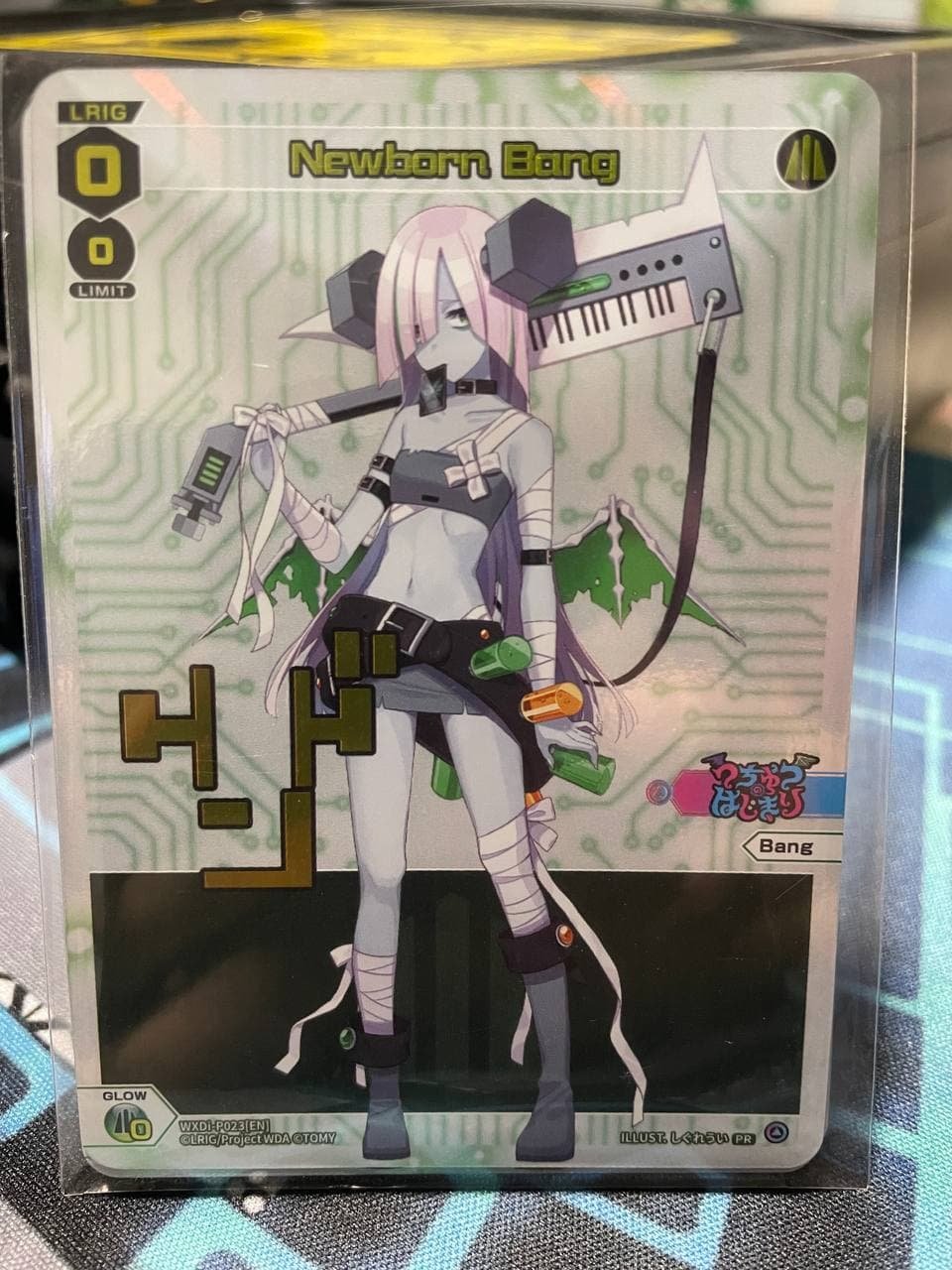 WXDi-P023 Newborn Bang