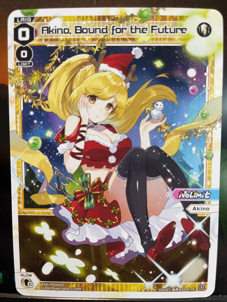 WXDi-P048 Akino Bound for the Future