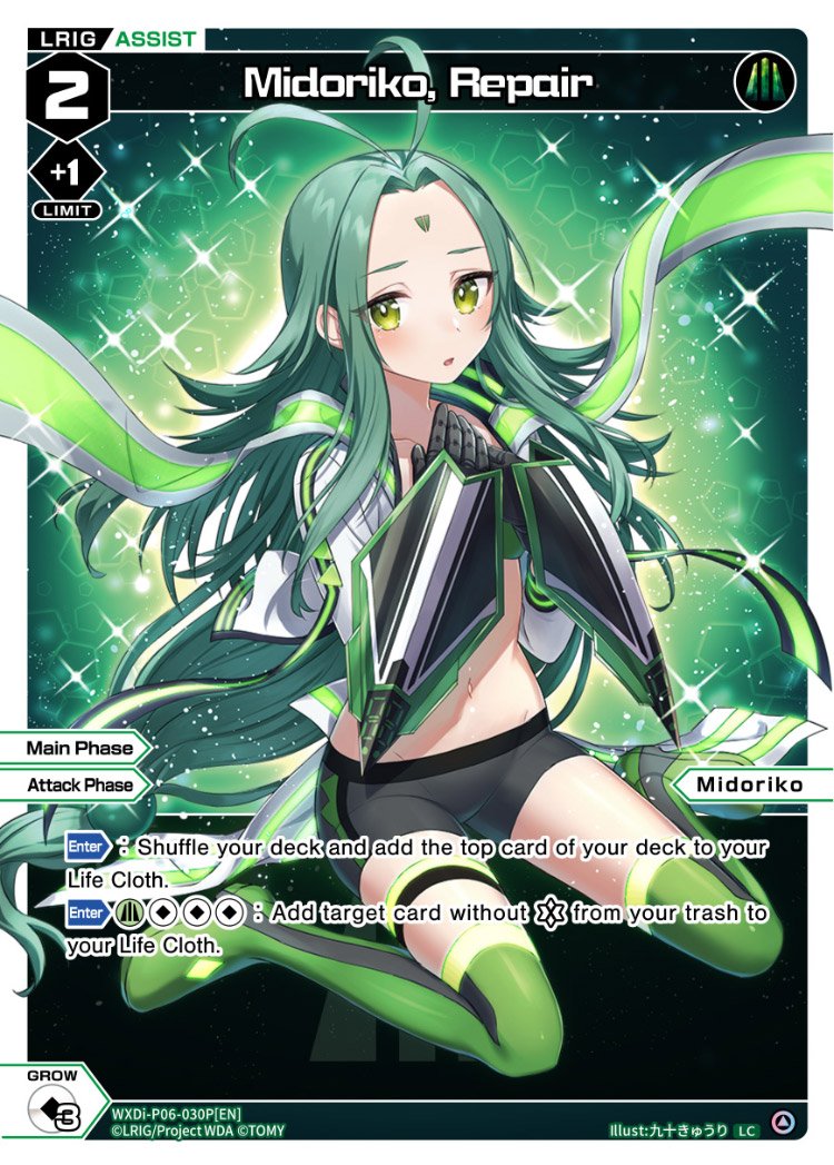 WXDi-P06-030P Midoriko, Repair