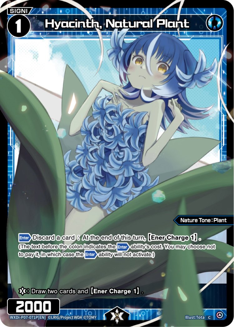 WXDi-P07-71P Hyacinth, Natural Plant