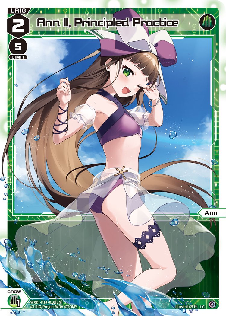 WXDi-P14-018 Ann II, Principled Practice