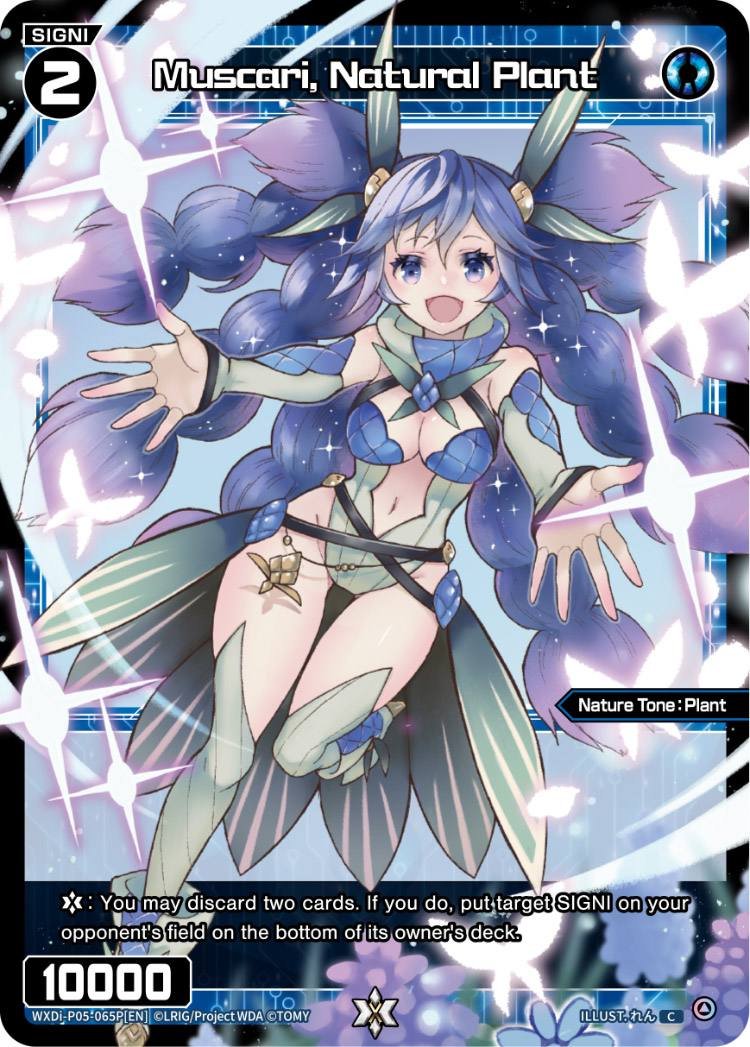 WXDi-P05-065P Muscari, Natural Plant