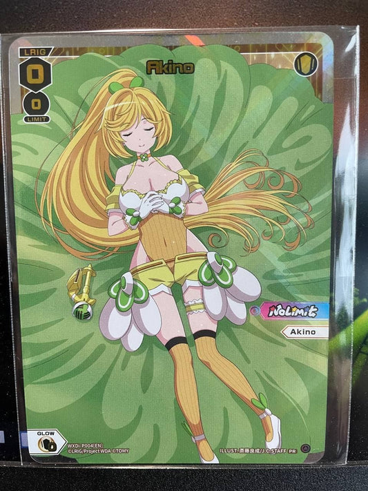 WXDi-P004 Akino