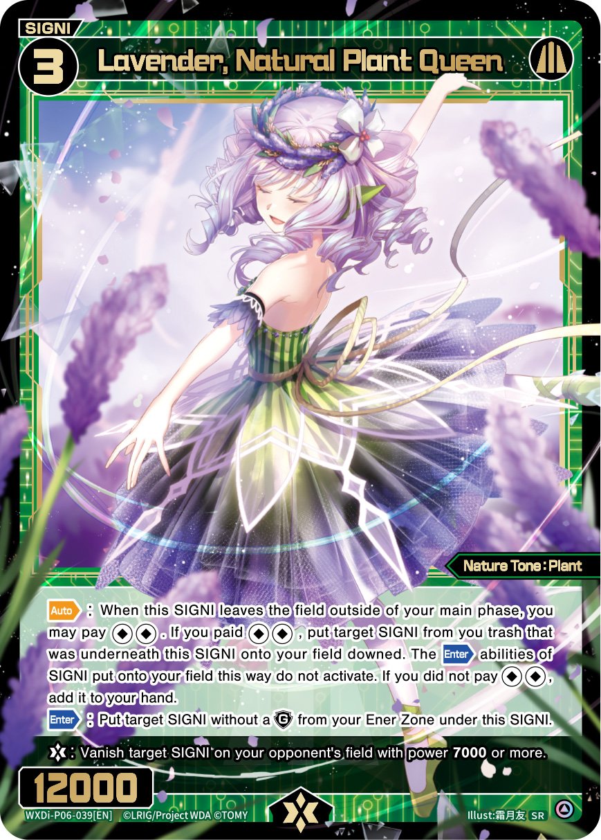 WXDi-P06-039 Lavender, Natural Plant Queen