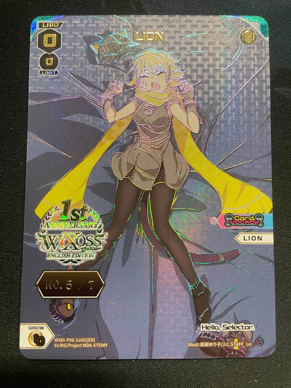 WXDi-P06-1st02 Lion No 5 of 7