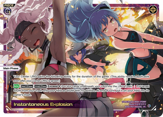 WXDi-P07-005 Instantaneous Explosion