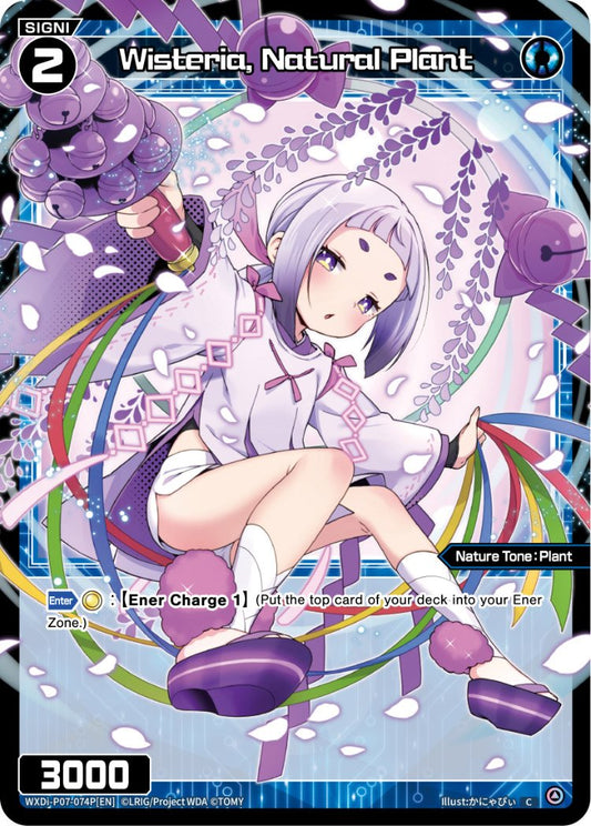WXDi-P07-74P Wisteria, Natural Plant