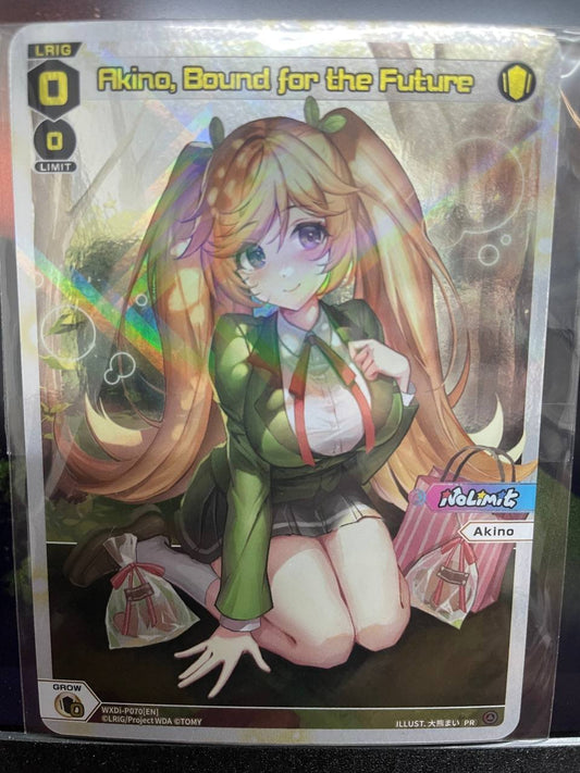 WXDi-P070 Akino Bound for the future