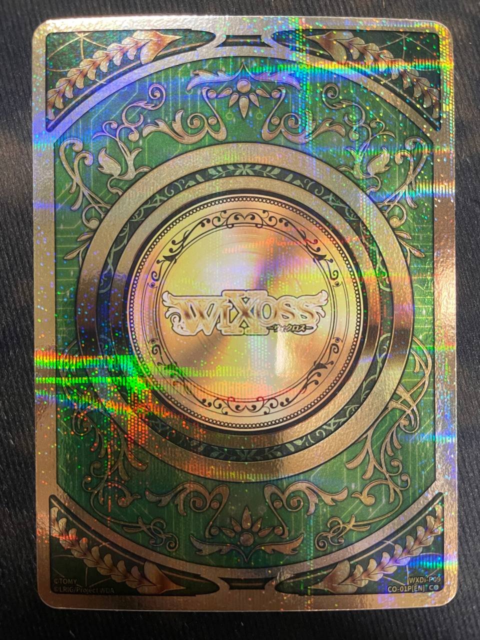 WXDi-P09-CO-01P Coin