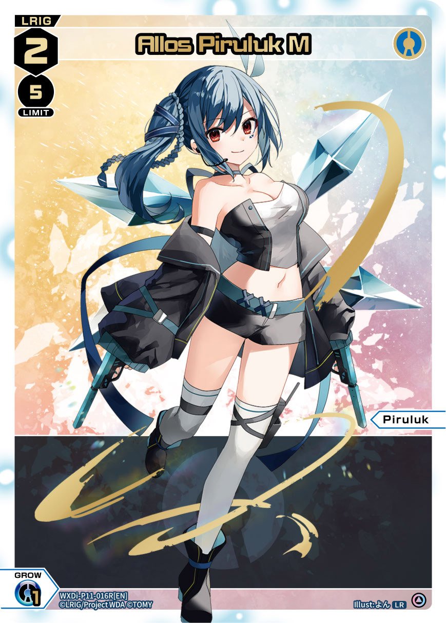 WXDi-P11-016R[EN] Allos Piruluk M