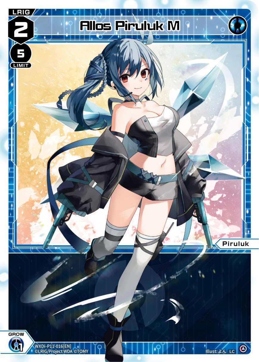 WXDi-P11-016[EN] Allos Piruluk M