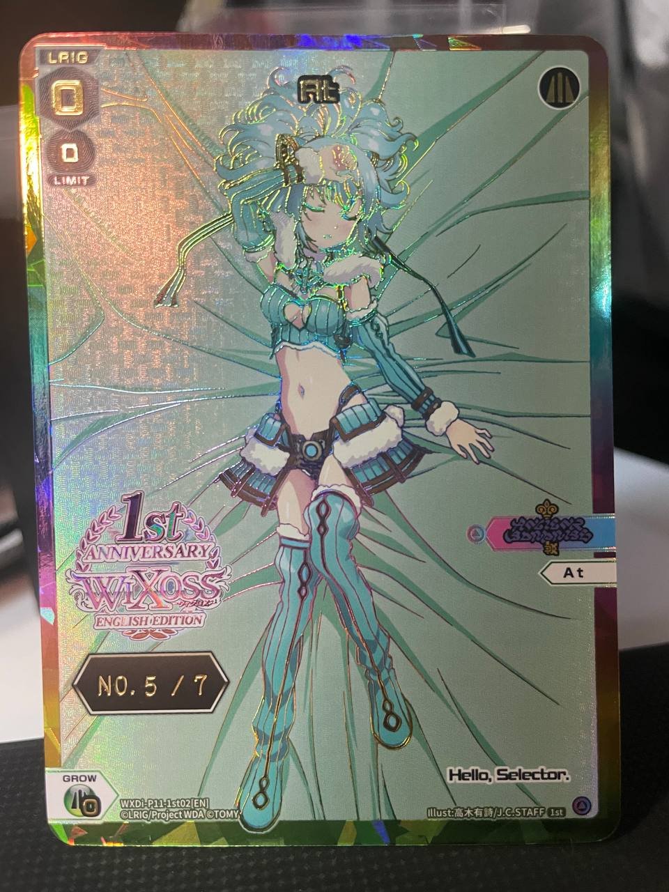 WXDi-P11-1st02 At (5 of 7)