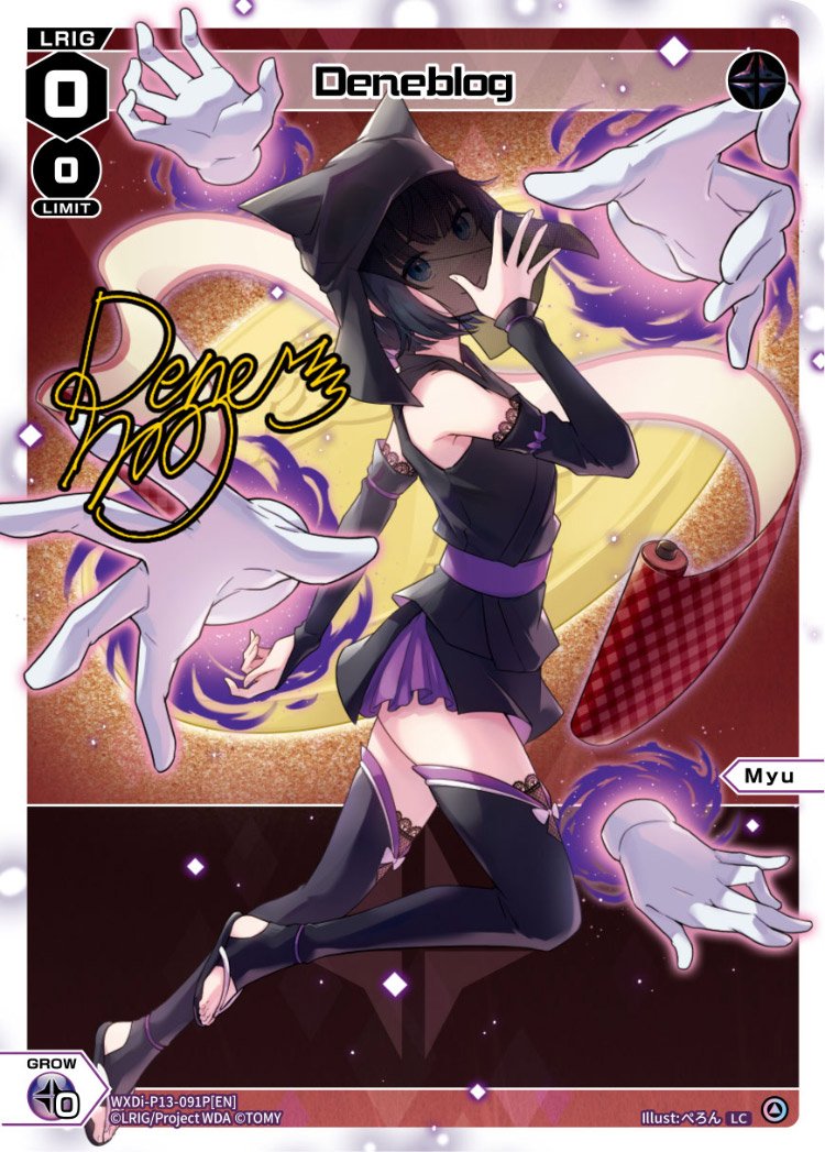 WXDi-P13-091P Deneblog