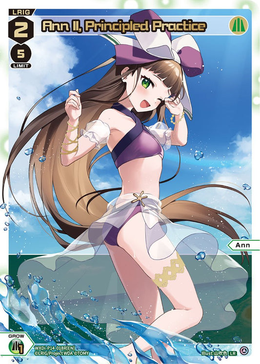 WXDi-P14-018R Ann II, Principled Practice