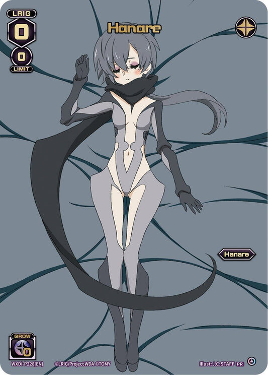 WXDi-P228[EN] Hanare