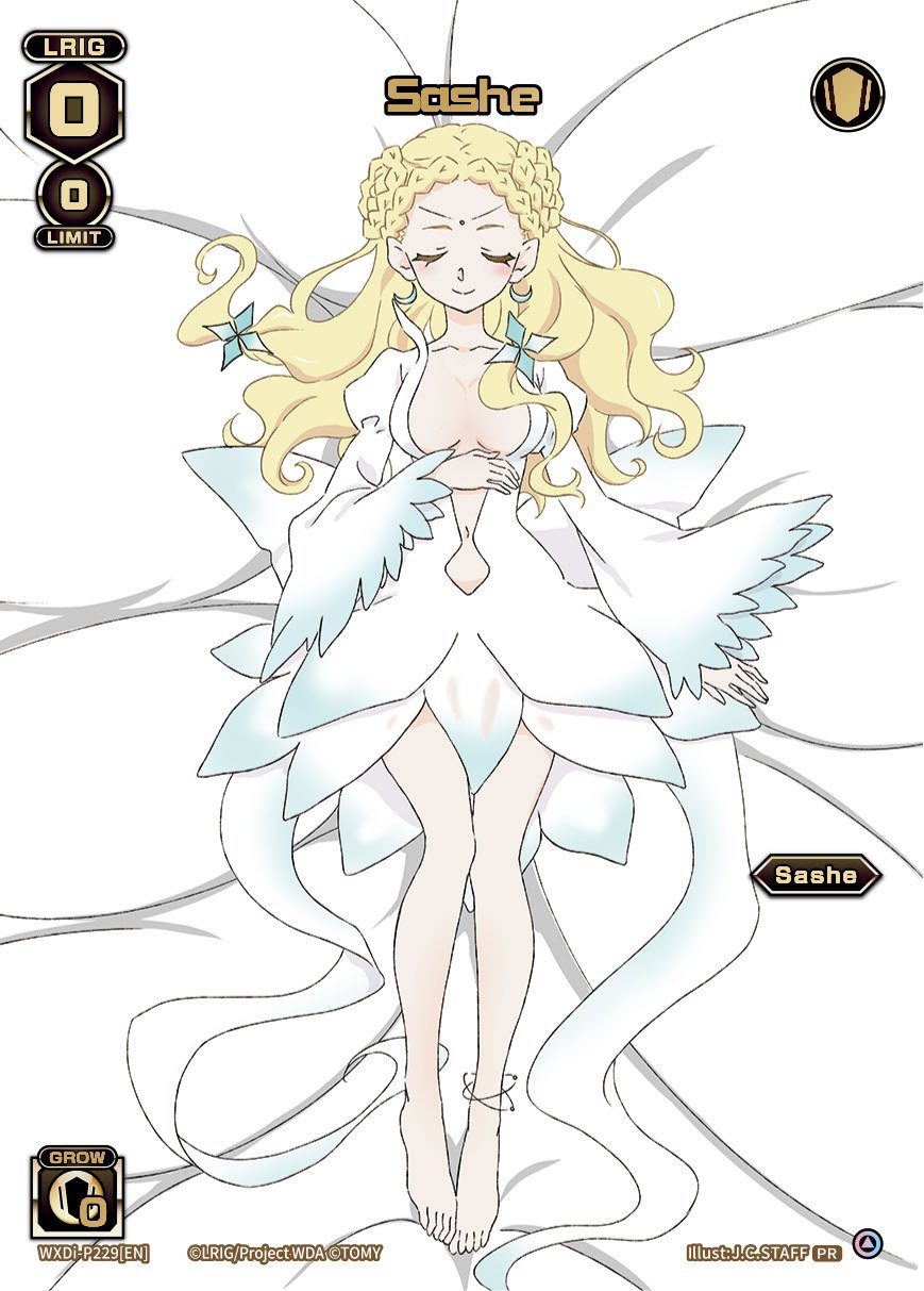 WXDi-P229[EN] Sashe