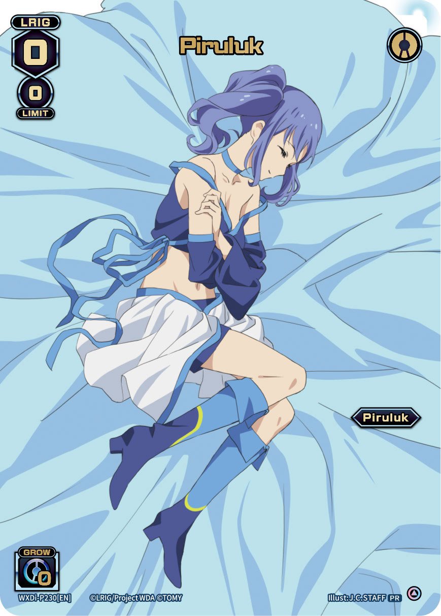 WXDi-P230[EN] Piruluk