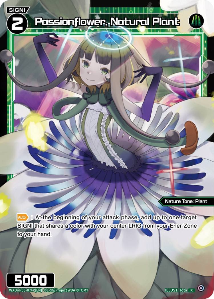 WXDi-P05-074P Passionflower, Natural Plant