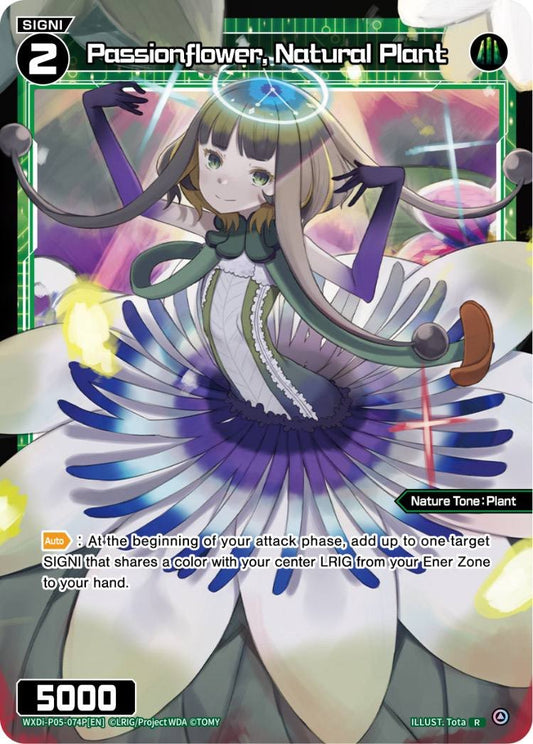 WXDi-P05-074P Passionflower, Natural Plant