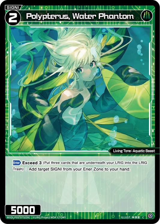 WXDi-P05-075 Polypterus, Water Phantom