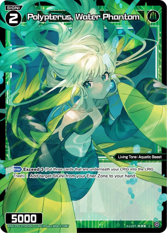 WXDi-P05-075P Polypterus, Water Phantom